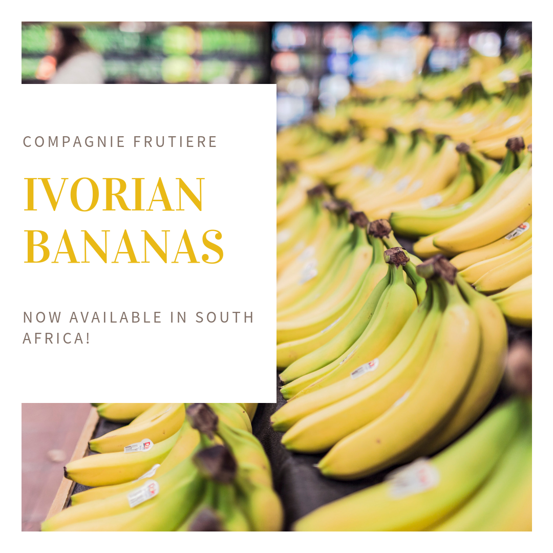 Compagnie Frutière Granted Permission To Export Ivorian Bananas To South Africa